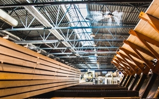 Timber processing plants