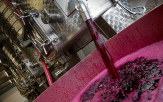 Impianti per la produzione del vino